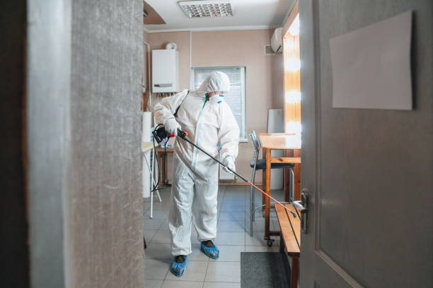 Best Black Mold Removal  in Chandler, OK