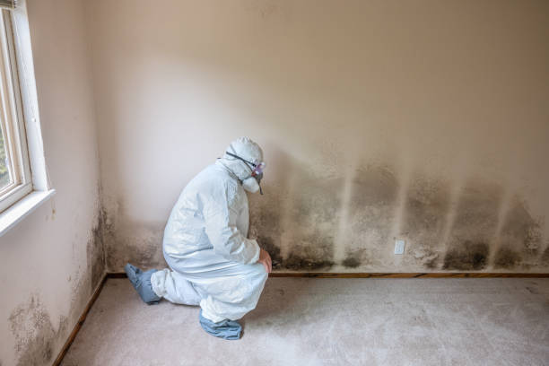 Best Biohazard Mold Removal  in Chandler, OK